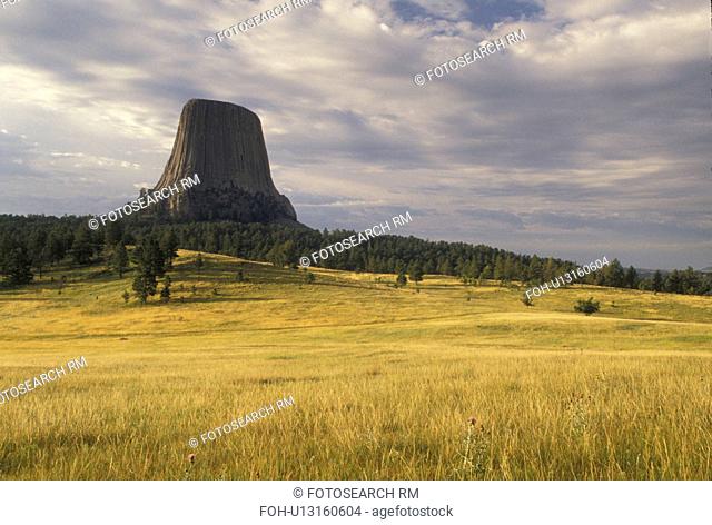 Devils Tower National Monument, WY, Wyoming, Scenic view of Devils Tower at Devils Tower Nat'l Monument in Wyoming