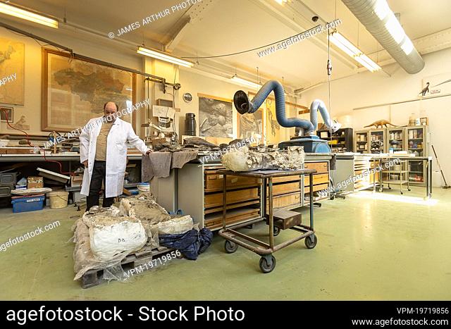 Technician Stephane Berton pictured during a visit to the Natural Sciences Museum in Brussels, Wednesday 09 March 2022. The preparations of the Diplodocus Dan...