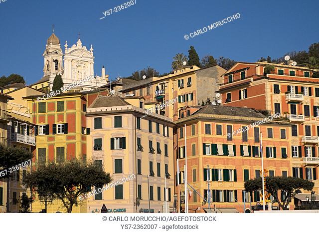 Buildings on the sea front and San Giacomo church in the background, Santa Margherita Ligure, Genova, Liguria, Italy, Europe