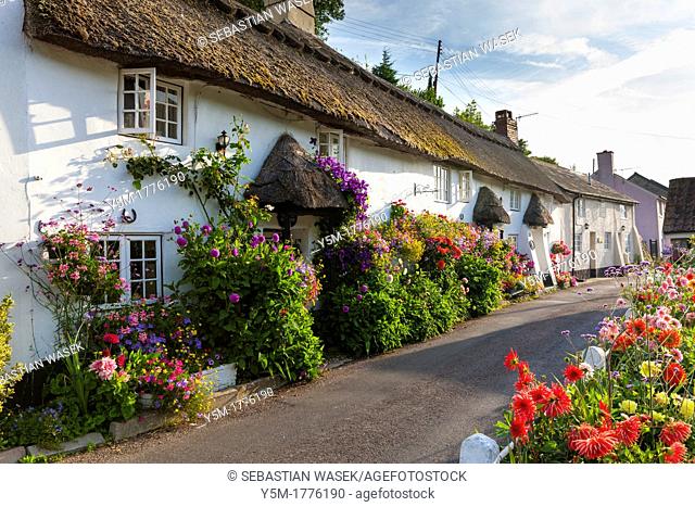 Cottage in Branscombe, Devon, England, United Kingdom, Europe