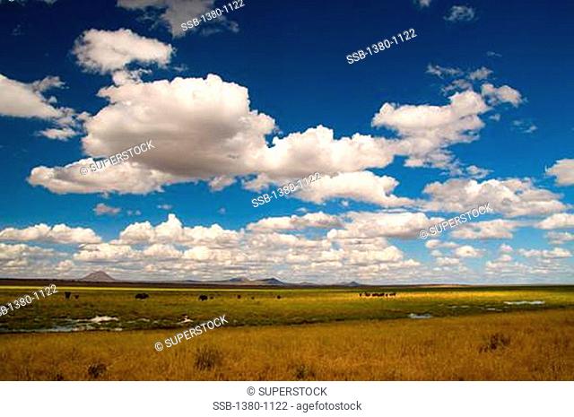 Clouds over a landscape, Tarangire National Park, Tanzania