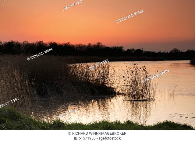 Sunset, River Parrett, between Bridgwater and Chilton Trinity, Somerset, England, United Kingdom, Europe