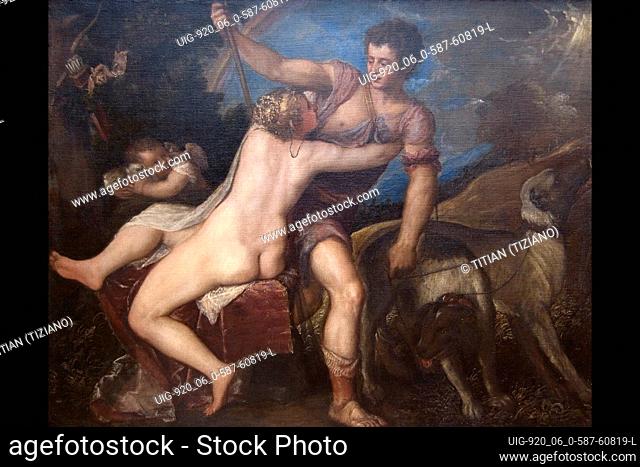 """Ovid, in his ""Metamorphoses, "" relates the story of the goddess Venus vainly trying to restrain her lover, the mortal Adonis, from departing for the hunt