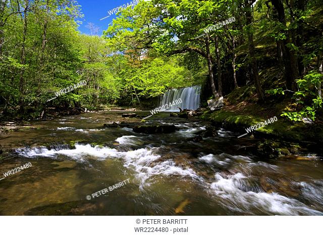 Sgwd Ddwli Uchaf, waterfall on Afon Nedd Fechan, near Ystradfellte, Brecon Beacons, National Park, Wales, United Kingdom, Europe