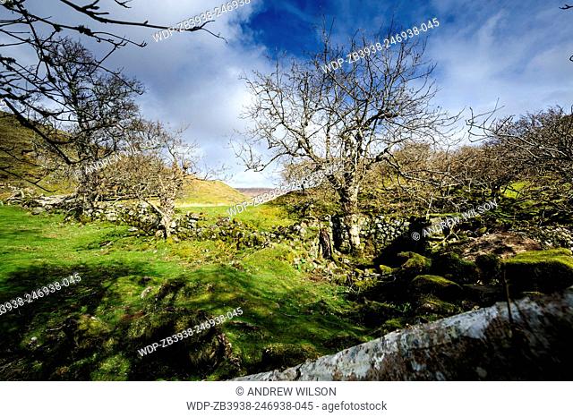 The Fairy Glen, (Glen Uig), Trotternish Peninsula, Isle of Skye, Scotland
