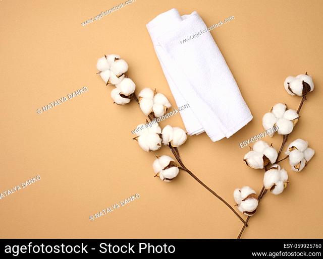 folded white cotton terry towel and sprigs of cotton flower on a light brown background, top view