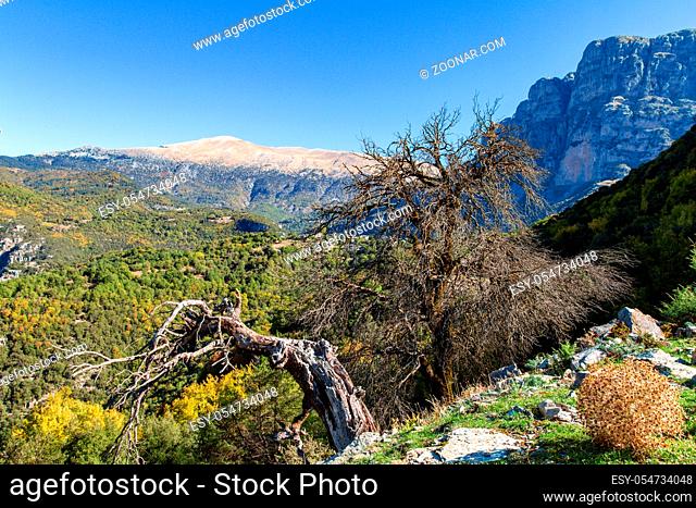 Scenic view of barren trees and the beautiful Vikos Gorge, Zagorochoria, Epirus, Greece