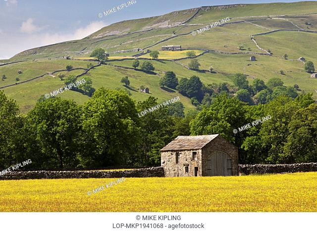 England, North Yorkshire, near Muker. A stone barn in a wild flower meadow near Muker, Swaledale, Yorkshire Dales National Park
