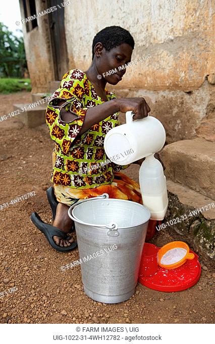 Ugandan lady filtering fresh milk to make sure it is clean