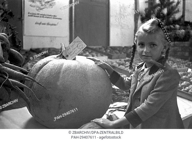 A girl is standing next to a pumpkin at the Green Week at the radio tower in Berlin-Halensee, in 1948. The agricultural exhibition, which takes place since 1926