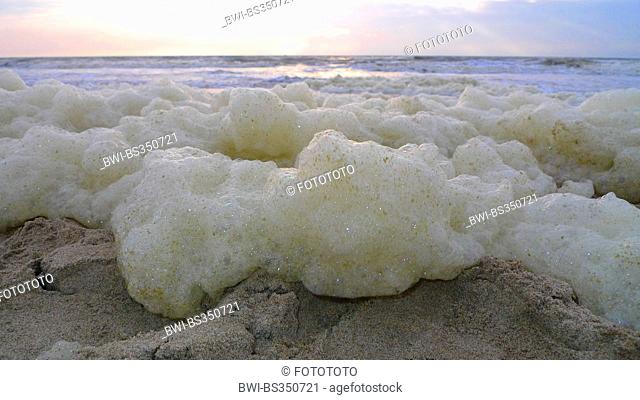 foam on the beach, Spain, Balearen, Majorca