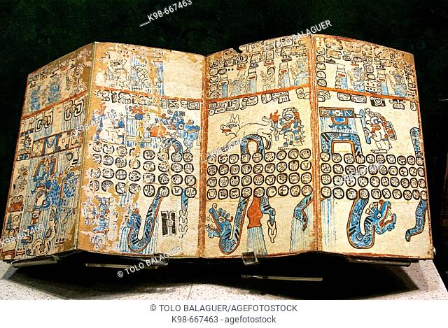 Grolier codex. Maya civilization. National Museum of Anthropology, Mexico D.F. Mexico