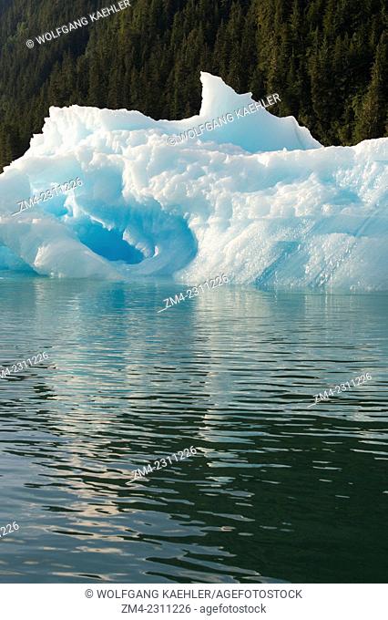 Icebergs from LeConte Glacier drifting in LeConte Bay, Tongass National Forest, Southeast Alaska, USA