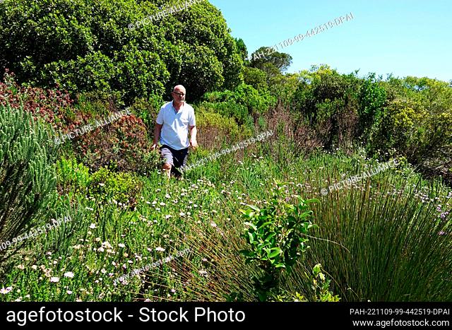 PRODUCTION - 20 October 2022, South Africa, Gansbaai: Michael Lutzeyer walks across his private Grootbos Nature Reserve near Ganbaai
