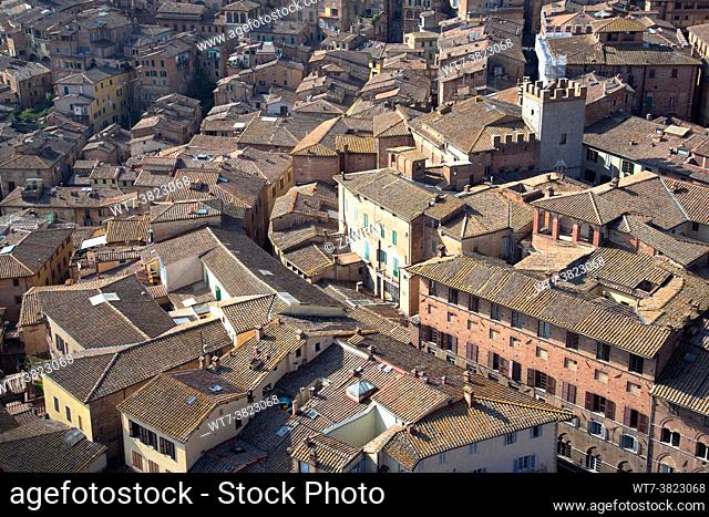 Siena from Campanile del Mangia, roofs, houses, medieval city