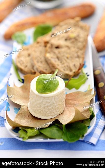 Crottin de chevre and slices of bread