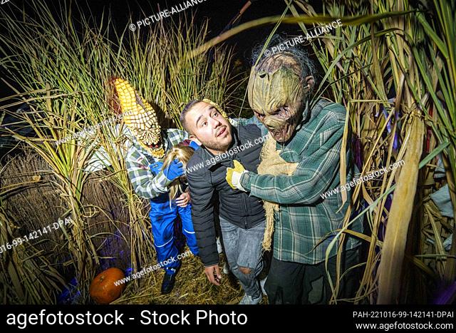 PRODUCTION - 15 October 2022, Hesse, Mühltal: Two creepy scarecrows lead two visitors through a corn maze. Frankenstein Castle is colorfully illuminated on the...