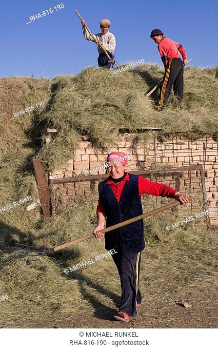 Kyrgyz people harvesting, Sary Tash, Kyrgyzstan, Central Asia, Asia
