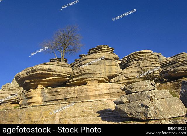 Jurassic limestones, El Torcal de Antequera Natural Park, Malaga Province, Andalusia, Spain, Europe