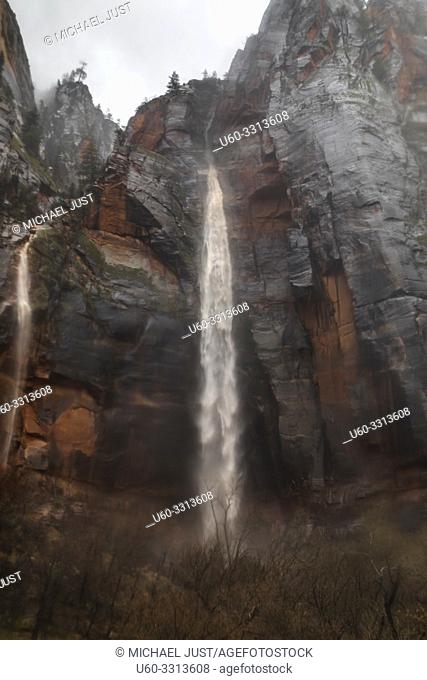 A heavy rainstorm produces ephemeral waterfalls at Zion National Park, Utah