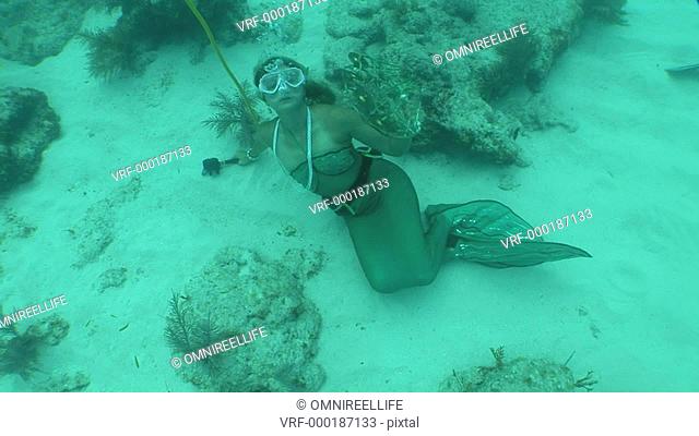 Young female scuba diver dressed in Mermaid costume laying on sandy seabed holding onto oxygen tube and holding a tambourine