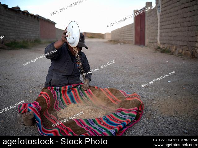 28 April 2022, Bolivia, Bella Vista: A woman sits on the ground and separates quinoa grains from dirt particles with the evening wind
