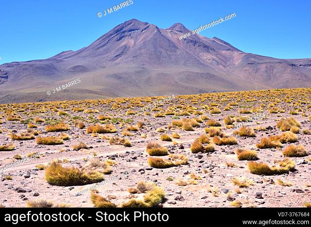Miñiques volcano. San Pedro de Atacama, Antofagasta, Chile