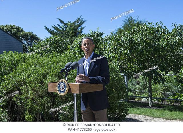United States President Barack Obama makes a statement on the situation in Egypt from the driveway of his vacation house in Chilmark