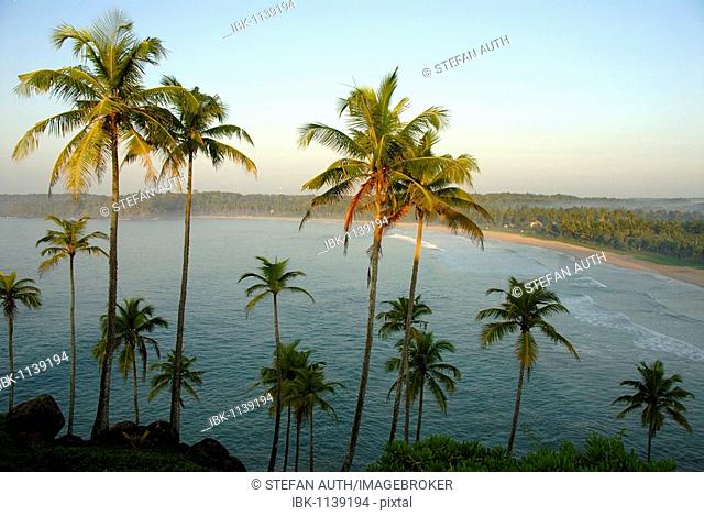 Coconut palms above bay, Talalla near Dondra, Indian Ocean, Ceylon, Sri Lanka, South Asia