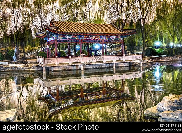 Wushu in Park Practicing Tai Chi Temple of Sun Pavilion Pond Reflection Green Willows Beijing China