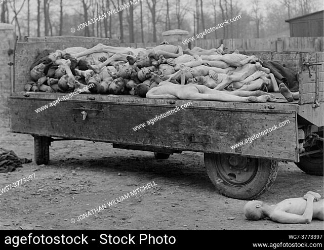 GERMANY Buchenwald Concentration Camp -- 14 Apr 1945 -- A truck load of bodies of prisoners murdered the Nazis in the Buchenwald concentration camp at Weimar