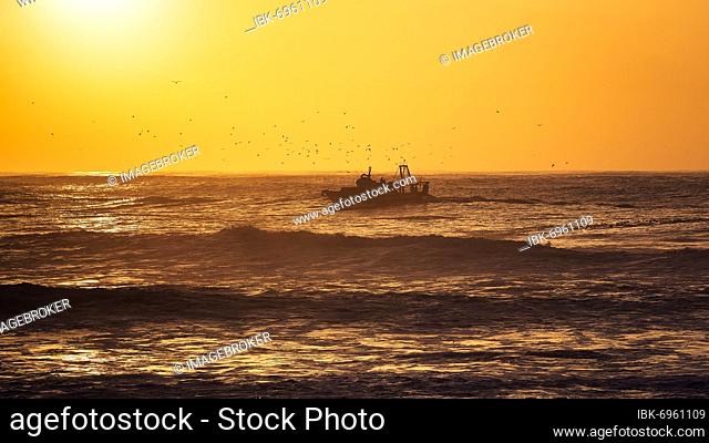Fishing boat with seagulls in the surf, sunset, Atlantic coast, Essaouira, Marrakech-Safi, Morocco, Africa