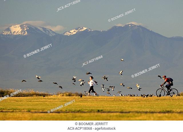 Early morning fitness enthusiasts on Dallas Road with the Olympic Mountains, Washington, USA in the background, Victoria, Vancouver Island, British Columbia
