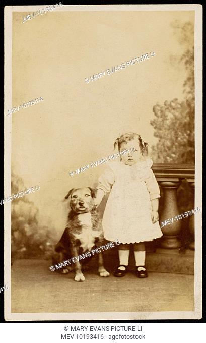 A bemused little girl poses for a studio portrait with her pet mongrel dog