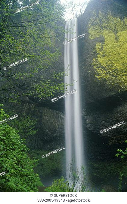 Low angle view of a waterfall, Latourell Falls, Columbia River Gorge National Scenic Area, Oregon, USA