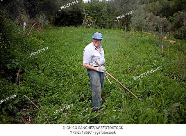 Small farmer working with a hoe in his organic farm in Prado del Rey, Cadiz, Andalusia, Spain. Sanchez produces in his farm vegetables and fruit without using...