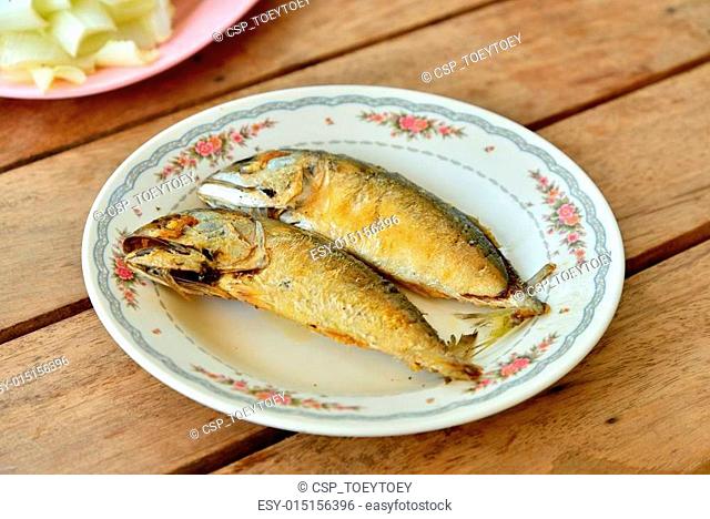mackerel fry
