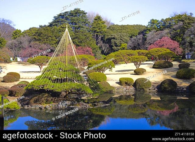 Japan, Tokyo, Shinjuku Gyoen, National Garden, park,