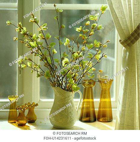 Close-up of beech branches in white jug on windowsill