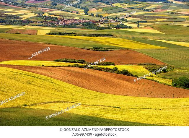 Berceo. Landscapes around San Millan de la Cogolla. La Rioja. Spain
