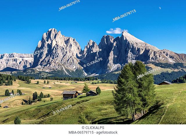 Alpe di Siusi/Seiser Alm, Dolomites, South Tyrol, Italy, View from the Alpe di Siusi to the peaks of Sassolungo/Langkofel and Sassopiatto/Plattkofel