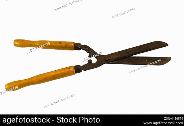 retro garden hedge trimmers clippers scissors tool with wooden handle isolated on white background