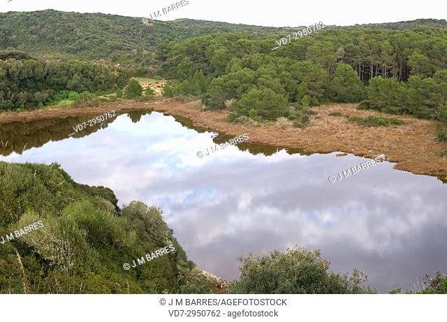 Albufera des Grau Natural Park. Minorca Biosphere Reserve, Balearic Islands, Spain