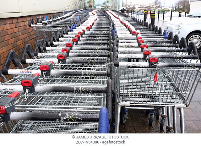 Shopping trolleys, Bloomfield Shopping Centre, Bangor, Northern Ireland. Winter - some snow visible