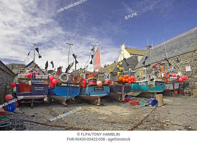 Fishing boats in harbour, moored on tidal river, Helford River, Cornwall, England, spring