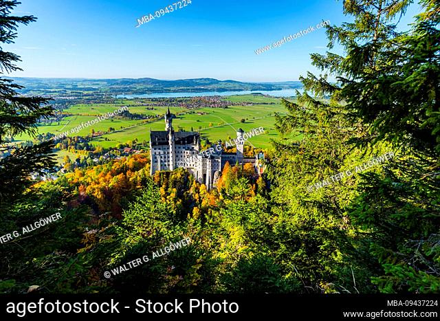 Neuschwanstein Castle near Hohenschwangau, Romantic Road, Ostallgäu, Bavaria, Germany, Europe