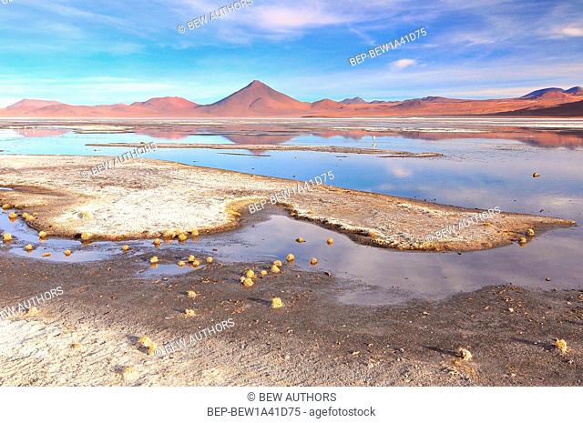Bolivia, Laguna Colorada, Red Lagoon, Shallow Salt Lake in the Southwest of the Altiplano of Bolivia, within Eduardo Avaroa Andean Fauna National Reserve