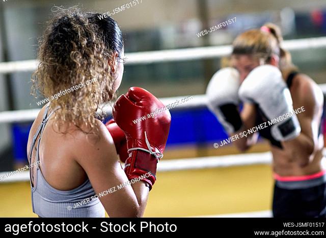 Female boxers sparring in the ring of a boxing club