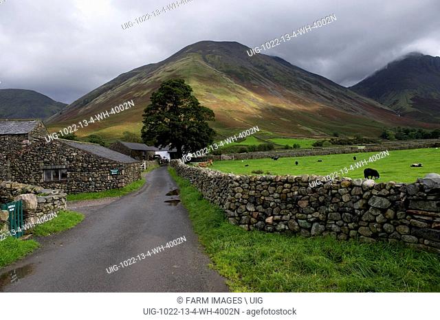 Looking towards Kirk Fell from Wasdale Head up farm track in the English lake District. (Photo by: Wayne Hutchinson/Farm Images/UIG)