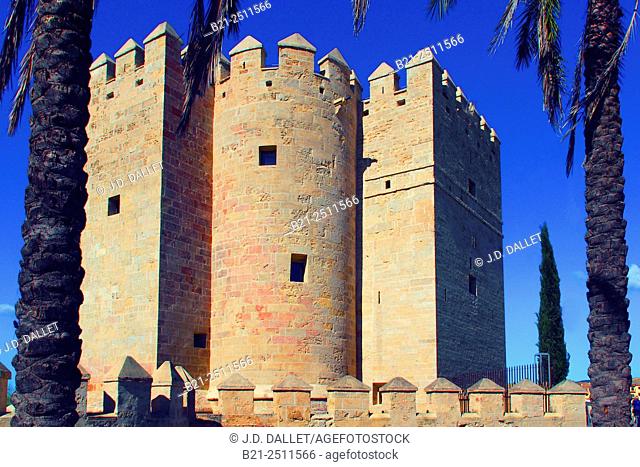 Calahorra tower at Cordoba, Andalusia, Spain